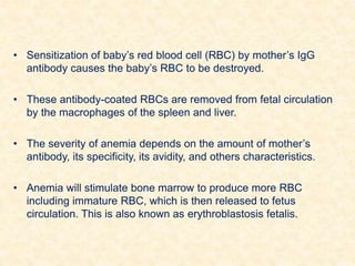 • Sensitization of baby’s red blood cell (RBC) by mother’s IgG
antibody causes the baby’s RBC to be destroyed.
• These antibody-coated RBCs are removed from fetal circulation
by the macrophages of the spleen and liver.
• The severity of anemia depends on the amount of mother’s
antibody, its specificity, its avidity, and others characteristics.
• Anemia will stimulate bone marrow to produce more RBC
including immature RBC, which is then released to fetus
circulation. This is also known as erythroblastosis fetalis.
 