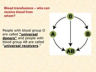 People with blood group O
are called "universal
donors" and people with
blood group AB are called
"universal receivers."
Blood transfusions – who can
receive blood from
whom?
 