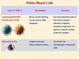 Type of WBC’s Description Function
Lymphocytes(20-25%)
(B Cells and T Cells)
Dense, purple staining,
round nucleus; little
cytoplasm
the most important cells of
the immune system;
effective in fighting
infectious organisms; act
against a specific foreign
molecule (antigen)
Monocytes (3-8%) Largest leukocyte;
kidney shaped nucleus
Transform into
macrophages; phagocytic
cells
White Blood Cells
 