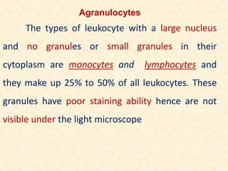 Agranulocytes
The types of leukocyte with a large nucleus
and no granules or small granules in their
cytoplasm are monocytes and lymphocytes and
they make up 25% to 50% of all leukocytes. These
granules have poor staining ability hence are not
visible under the light microscope
 