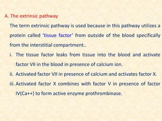 A. The extrinsic pathway
The term extrinsic pathway is used because in this pathway utilizes a
protein called ‘tissue factor’ from outside of the blood specifically
from the interstitial compartment..
i. The tissue factor leaks from tissue into the blood and activate
factor VII in the blood in presence of calcium ion.
ii. Activated factor VII in presence of calcium and activates factor X.
iii. Activated factor X combines with factor V in presence of factor
IV(Ca++) to form active enzyme prothrombinase.
 