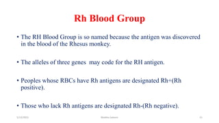 Blood| Ppt by Madiha Saleem & Uploaded By Barkat Ali | PDF