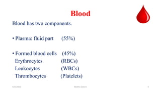 Blood| Ppt by Madiha Saleem & Uploaded By Barkat Ali | PDF