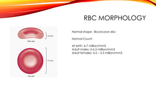 Disc Rbc Rivet Blood - Composition, functions, applied aspects | PPTX