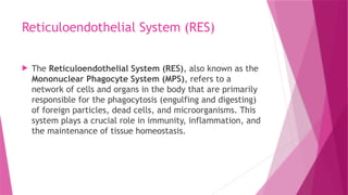 Reticuloendothelial System (RES)
 The Reticuloendothelial System (RES), also known as the
Mononuclear Phagocyte System (MPS), refers to a
network of cells and organs in the body that are primarily
responsible for the phagocytosis (engulfing and digesting)
of foreign particles, dead cells, and microorganisms. This
system plays a crucial role in immunity, inflammation, and
the maintenance of tissue homeostasis.
 