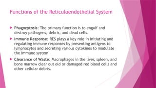 Functions of the Reticuloendothelial System
 Phagocytosis: The primary function is to engulf and
destroy pathogens, debris, and dead cells.
 Immune Response: RES plays a key role in initiating and
regulating immune responses by presenting antigens to
lymphocytes and secreting various cytokines to modulate
the immune system.
 Clearance of Waste: Macrophages in the liver, spleen, and
bone marrow clear out old or damaged red blood cells and
other cellular debris.
 