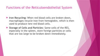 Functions of the Reticuloendothelial System
 Iron Recycling: When red blood cells are broken down,
macrophages recycle iron from hemoglobin, which is then
used to produce new red blood cells.
 Storage of Cells and Particles: Some cells of the RES,
especially in the spleen, store foreign particles or cells
that are too large to be broken down immediately.
 