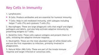 Key Cells in Immunity
1. Lymphocytes:
 B Cells: Produce antibodies and are essential for humoral immunity.
 T Cells: Help in cell-mediated immunity, with subtypes including
helper T cells (Th) and cytotoxic T cells (Tc).
2. Macrophages: These are large phagocytic cells that engulf and digest
pathogens and debris, and also help activate adaptive immunity by
presenting antigens to T cells.
3. Dendritic Cells: These cells capture antigens and present them to T
cells, initiating the adaptive immune response.
4. Neutrophils: These are the most abundant type of white blood cells
and are the first responders to infection, primarily involved in
phagocytosis.
5. Natural Killer (NK) Cells: These are part of the innate immune
response and target infected or cancerous cells.
 