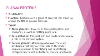 PLASMA PROTEINS
 2. Globulins:
 Function: Globulins are a group of proteins that make up
around 35-40% of plasma proteins.
 Types:
 Alpha globulins: Involved in transporting lipids and
hormones, as well as clotting processes.
 Beta globulins: Transport iron and lipids, and also play
a role in the immune system.
 Gamma globulins (Immunoglobulins): These are
antibodies that play a critical role in the body's
immune response by identifying and neutralizing
foreign invaders such as bacteria, viruses, and toxins.
 