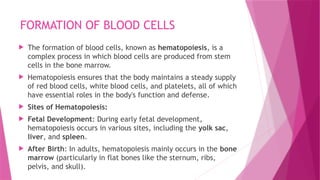 FORMATION OF BLOOD CELLS
 The formation of blood cells, known as hematopoiesis, is a
complex process in which blood cells are produced from stem
cells in the bone marrow.
 Hematopoiesis ensures that the body maintains a steady supply
of red blood cells, white blood cells, and platelets, all of which
have essential roles in the body's function and defense.
 Sites of Hematopoiesis:
 Fetal Development: During early fetal development,
hematopoiesis occurs in various sites, including the yolk sac,
liver, and spleen.
 After Birth: In adults, hematopoiesis mainly occurs in the bone
marrow (particularly in flat bones like the sternum, ribs,
pelvis, and skull).
 