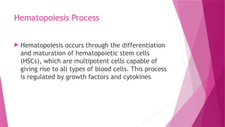 Hematopoiesis Process
 Hematopoiesis occurs through the differentiation
and maturation of hematopoietic stem cells
(HSCs), which are multipotent cells capable of
giving rise to all types of blood cells. This process
is regulated by growth factors and cytokines.
 