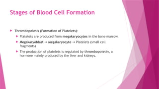 Stages of Blood Cell Formation
 Thrombopoiesis (Formation of Platelets):
 Platelets are produced from megakaryocytes in the bone marrow.
 Megakaryoblast → Megakaryocyte Platelets (small cell
→
fragments)
 The production of platelets is regulated by thrombopoietin, a
hormone mainly produced by the liver and kidneys.
 