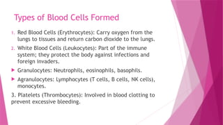 Types of Blood Cells Formed
1. Red Blood Cells (Erythrocytes): Carry oxygen from the
lungs to tissues and return carbon dioxide to the lungs.
2. White Blood Cells (Leukocytes): Part of the immune
system; they protect the body against infections and
foreign invaders.
 Granulocytes: Neutrophils, eosinophils, basophils.
 Agranulocytes: Lymphocytes (T cells, B cells, NK cells),
monocytes.
3. Platelets (Thrombocytes): Involved in blood clotting to
prevent excessive bleeding.
 