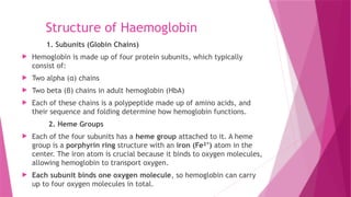 Structure of Haemoglobin
1. Subunits (Globin Chains)
 Hemoglobin is made up of four protein subunits, which typically
consist of:
 Two alpha (α) chains
 Two beta (β) chains in adult hemoglobin (HbA)
 Each of these chains is a polypeptide made up of amino acids, and
their sequence and folding determine how hemoglobin functions.
2. Heme Groups
 Each of the four subunits has a heme group attached to it. A heme
group is a porphyrin ring structure with an iron (Fe² )
⁺ atom in the
center. The iron atom is crucial because it binds to oxygen molecules,
allowing hemoglobin to transport oxygen.
 Each subunit binds one oxygen molecule, so hemoglobin can carry
up to four oxygen molecules in total.
 