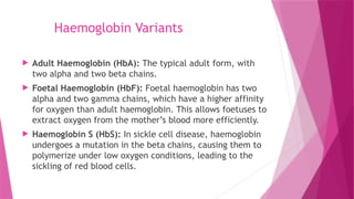 Haemoglobin Variants
 Adult Haemoglobin (HbA): The typical adult form, with
two alpha and two beta chains.
 Foetal Haemoglobin (HbF): Foetal haemoglobin has two
alpha and two gamma chains, which have a higher affinity
for oxygen than adult haemoglobin. This allows foetuses to
extract oxygen from the mother’s blood more efficiently.
 Haemoglobin S (HbS): In sickle cell disease, haemoglobin
undergoes a mutation in the beta chains, causing them to
polymerize under low oxygen conditions, leading to the
sickling of red blood cells.
 