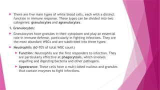  There are five main types of white blood cells, each with a distinct
function in immune response. These types can be divided into two
categories: granulocytes and agranulocytes.
1. Granulocytes:
 Granulocytes have granules in their cytoplasm and play an essential
role in immune defense, particularly in fighting infections. They are
the most abundant WBCs and are subdivided into three types:
 Neutrophils (60-70% of total WBC count)
 Function: Neutrophils are the first responders to infection. They
are particularly effective at phagocytosis, which involves
engulfing and digesting bacteria and other pathogens.
 Appearance: These cells have a multi-lobed nucleus and granules
that contain enzymes to fight infections.
 