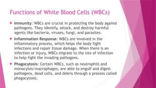 Functions of White Blood Cells (WBCs)
 Immunity: WBCs are crucial in protecting the body against
pathogens. They identify, attack, and destroy harmful
agents like bacteria, viruses, fungi, and parasites.
 Inflammation Response: WBCs are involved in the
inflammatory process, which helps the body fight
infections and repair tissue damage. When there is an
infection or injury, WBCs migrate to the site of infection
to help fight the invading pathogens.
 Phagocytosis: Certain WBCs, such as neutrophils and
monocytes/macrophages, are able to engulf and digest
pathogens, dead cells, and debris through a process called
phagocytosis.
 