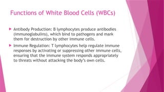 Functions of White Blood Cells (WBCs)
 Antibody Production: B lymphocytes produce antibodies
(immunoglobulins), which bind to pathogens and mark
them for destruction by other immune cells.
 Immune Regulation: T lymphocytes help regulate immune
responses by activating or suppressing other immune cells,
ensuring that the immune system responds appropriately
to threats without attacking the body’s own cells.
 