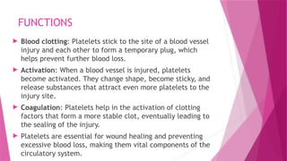 FUNCTIONS
 Blood clotting: Platelets stick to the site of a blood vessel
injury and each other to form a temporary plug, which
helps prevent further blood loss.
 Activation: When a blood vessel is injured, platelets
become activated. They change shape, become sticky, and
release substances that attract even more platelets to the
injury site.
 Coagulation: Platelets help in the activation of clotting
factors that form a more stable clot, eventually leading to
the sealing of the injury.
 Platelets are essential for wound healing and preventing
excessive blood loss, making them vital components of the
circulatory system.
 