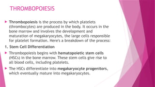 THROMBOPOIESIS
 Thrombopoiesis is the process by which platelets
(thrombocytes) are produced in the body. It occurs in the
bone marrow and involves the development and
maturation of megakaryocytes, the large cells responsible
for platelet formation. Here's a breakdown of the process:
1. Stem Cell Differentiation
 Thrombopoiesis begins with hematopoietic stem cells
(HSCs) in the bone marrow. These stem cells give rise to
all blood cells, including platelets.
 The HSCs differentiate into megakaryocyte progenitors,
which eventually mature into megakaryocytes.
 