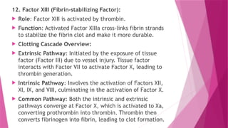 12. Factor XIII (Fibrin-stabilizing Factor):
 Role: Factor XIII is activated by thrombin.
 Function: Activated Factor XIIIa cross-links fibrin strands
to stabilize the fibrin clot and make it more durable.
 Clotting Cascade Overview:
 Extrinsic Pathway: Initiated by the exposure of tissue
factor (Factor III) due to vessel injury. Tissue factor
interacts with Factor VII to activate Factor X, leading to
thrombin generation.
 Intrinsic Pathway: Involves the activation of Factors XII,
XI, IX, and VIII, culminating in the activation of Factor X.
 Common Pathway: Both the intrinsic and extrinsic
pathways converge at Factor X, which is activated to Xa,
converting prothrombin into thrombin. Thrombin then
converts fibrinogen into fibrin, leading to clot formation.
 