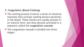 3. Coagulation (Blood Clotting)
 The clotting process involves a series of chemical
reactions that activate clotting factors (proteins)
in the blood. These factors are usually present in
an inactive form, but they become activated in a
sequence called the coagulation cascade.
 The coagulation cascade is divided into three
stages:
 