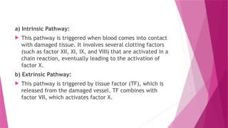 a) Intrinsic Pathway:
 This pathway is triggered when blood comes into contact
with damaged tissue. It involves several clotting factors
(such as factor XII, XI, IX, and VIII) that are activated in a
chain reaction, eventually leading to the activation of
factor X.
b) Extrinsic Pathway:
 This pathway is triggered by tissue factor (TF), which is
released from the damaged vessel. TF combines with
factor VII, which activates factor X.
 