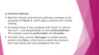 c) Common Pathway:
 Both the intrinsic and extrinsic pathways converge at the
activation of Factor X, which plays a central role in blood
clotting.
 Activated Factor X (Xa) combines with Factor V, calcium
ions (Ca² ), and phospholipids to form
⁺ prothrombinase.
This complex converts prothrombin into thrombin.
 Thrombin then converts fibrinogen (a soluble plasma
protein) into fibrin, which forms a mesh-like structure
that traps blood cells and strengthens the clot.
 