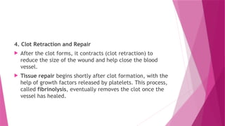 4. Clot Retraction and Repair
 After the clot forms, it contracts (clot retraction) to
reduce the size of the wound and help close the blood
vessel.
 Tissue repair begins shortly after clot formation, with the
help of growth factors released by platelets. This process,
called fibrinolysis, eventually removes the clot once the
vessel has healed.
 