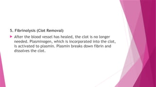 5. Fibrinolysis (Clot Removal)
 After the blood vessel has healed, the clot is no longer
needed. Plasminogen, which is incorporated into the clot,
is activated to plasmin. Plasmin breaks down fibrin and
dissolves the clot.
 