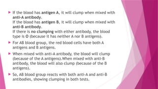  If the blood has antigen A, it will clump when mixed with
anti-A antibody.
If the blood has antigen B, it will clump when mixed with
anti-B antibody.
If there is no clumping with either antibody, the blood
type is O (because it has neither A nor B antigens).
 For AB blood group, the red blood cells have both A
antigens and B antigens.
 When mixed with anti-A antibody, the blood will clump
(because of the A antigens).When mixed with anti-B
antibody, the blood will also clump (because of the B
antigens).
 So, AB blood group reacts with both anti-A and anti-B
antibodies, showing clumping in both tests.
 