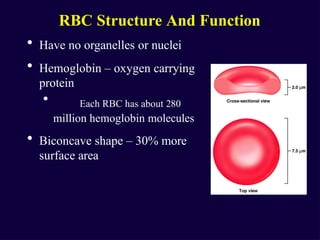 Bhc Normal Histology of blood how its looksand forms and works | PPTX