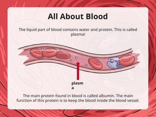 Comprehensive Overview of Blood: Composition, Functions, and ...