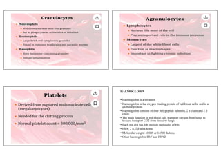 Comprehensive Overview of Blood Composition, Functions, and Disorders | PDF