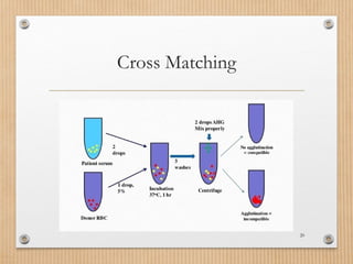 Blood-Blood-Products-and-Blood-Transfusion.pptx