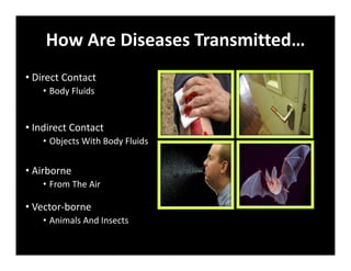 How Are Diseases Transmitted…
• Direct Contact
• Body Fluids
• Indirect Contact
• Objects With Body Fluids
• Airborne
• From The Air
• Vector‐borne
• Animals And Insects
 