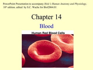 Chapter 14 Blood PowerPoint Presentation to accompany  Hole’s Human Anatomy and Physiology,  10 th  edition ,  edited   by S.C. Wache for Biol2064.01 