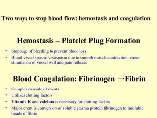 Hemostasis – Platelet Plug Formation Stoppage of bleeding to prevent blood loss Blood vessel spasm: vasospasm due to smooth muscle contraction; direct stimulation of vessel wall and pain reflexes Blood Coagulation: Fibrinogen  Fibrin Complex cascade of events Utilizes clotting factors Vitamin K  and  calcium  is necessary for clotting factors Major event is conversion of soluble plasma protein fibrinogen to insoluble treads of fibrin Two ways to stop blood flow: hemostasis and coagulation 