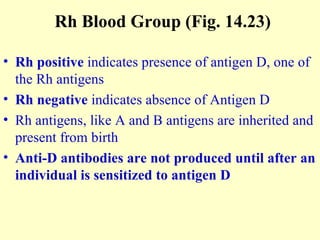 Rh Blood Group (Fig. 14.23) Rh positive  indicates presence of antigen D, one of the Rh antigens Rh negative  indicates absence of Antigen D Rh antigens, like A and B antigens are inherited and present from birth Anti-D antibodies are not produced until after an individual is sensitized to antigen D 