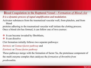 blood-coagulation-180504105426 (1).pdf... | PPT
