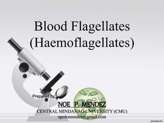 Blood Flagellates
(Haemoflagellates)
Prepared by:
NOE P. MENDEZ
CENTRAL MINDANAO UNIVERSITY (CMU)
npolomendez@gmail.com
 