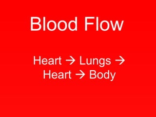 Blood Flow Heart    Lungs    Heart    Body 