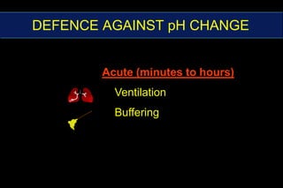 HYDROGEN ION SOURCESCO2 15000 mmol/dayCO2 + H2O          H2CO3           H+ + HCO3-Noncarbonic acids 70 mmol/dayDEFENCE AGAINST pH CHANGEAcute (minutes to hours)VentilationBuffering