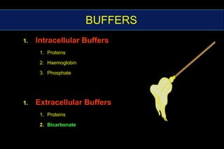 BUFFERSIntracellular BuffersProteinsHaemoglobinPhosphateExtracellular BuffersProteinsBicarbonate