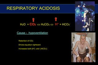 (HCO3)RESPIRATORY COMPONENTMETABOLIC COMPONENT