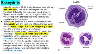 Blood - Histology (1).pptx
