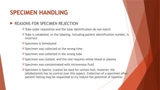 STEPS -IN - BLOOD-SAMPLE-COLLECTION.pptx