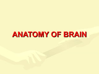 ANATOMY OF BRAINANATOMY OF BRAIN
 