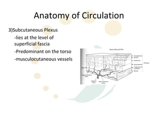 Anatomy of Circulation
3)Subcutaneous Plexus
   -lies at the level of
   superficial fascia
   -Predominant on the torso
   -musculocutaneous vessels
 