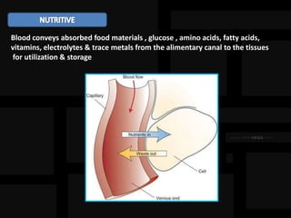 Blood conveys absorbed food materials , glucose , amino acids, fatty acids,
vitamins, electrolytes & trace metals from the alimentary canal to the tissues
for utilization & storage
 